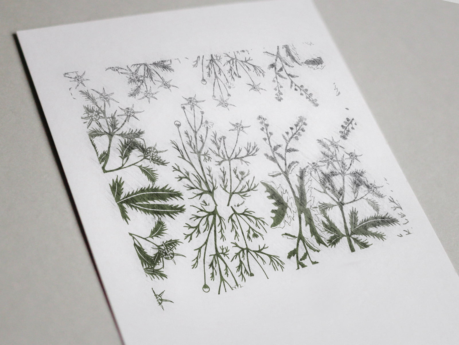 Cliente: HORNIMANS. Diseño de producto y campaña