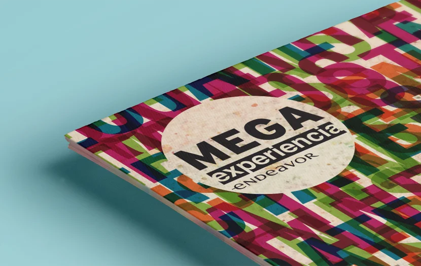 Cliente: ENDEAVOR. Identidad visual