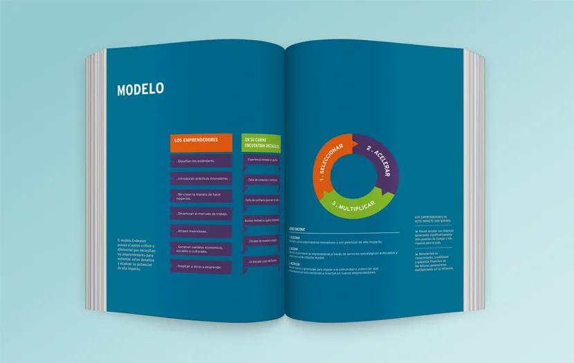 Cliente: ENDEAVOR. Identidad visual