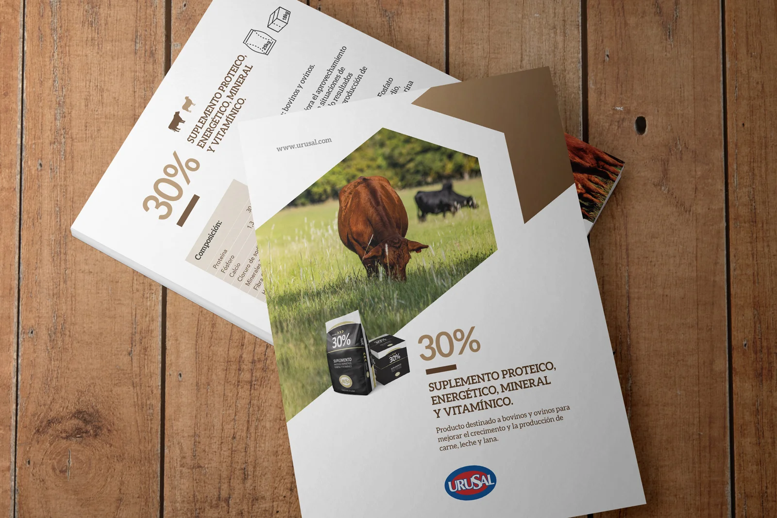 Cliente: URUSAL. 